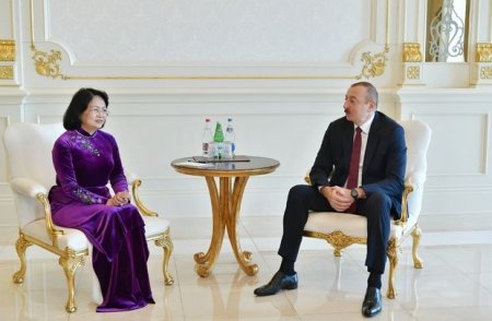 İlham Əliyev Vyetnamın vitse-prezidentini qəbul etdi - FOTO